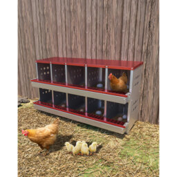 10-Compartment Galvanized Steel Chicken Nesting Box – Hen Coop Laying Nest with Ventilation Holes, Easy-Clean & Easy Egg Collection for Poultry, Outdo