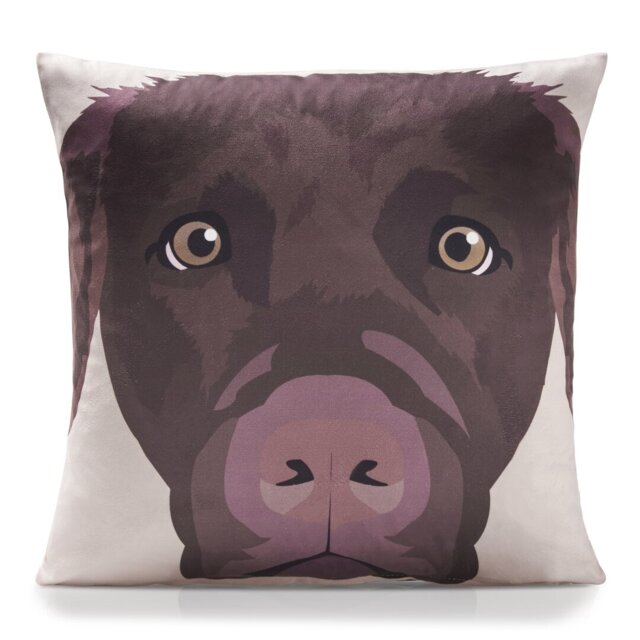 Ditoro Animal Print Multicoloured Square Cushion