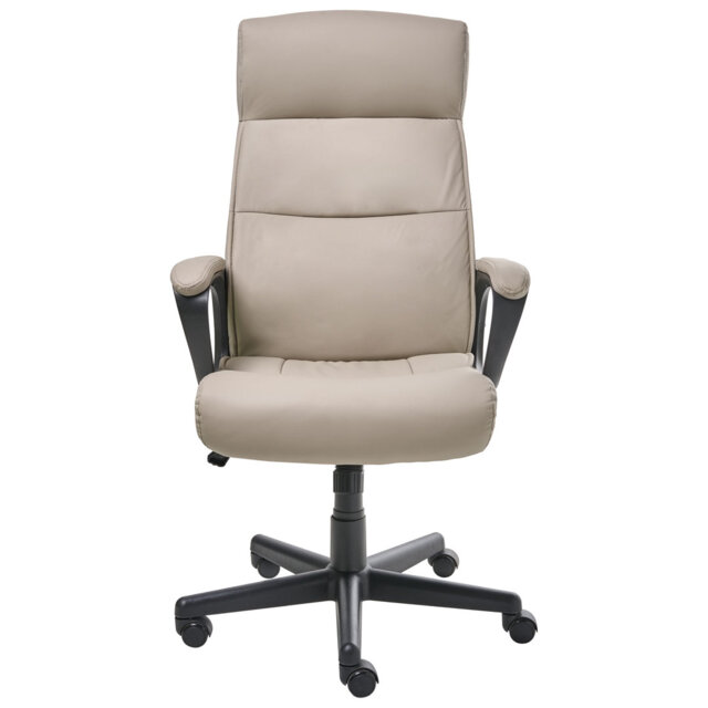 Executive Chair with Headrest