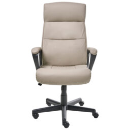 Executive Chair with Headrest