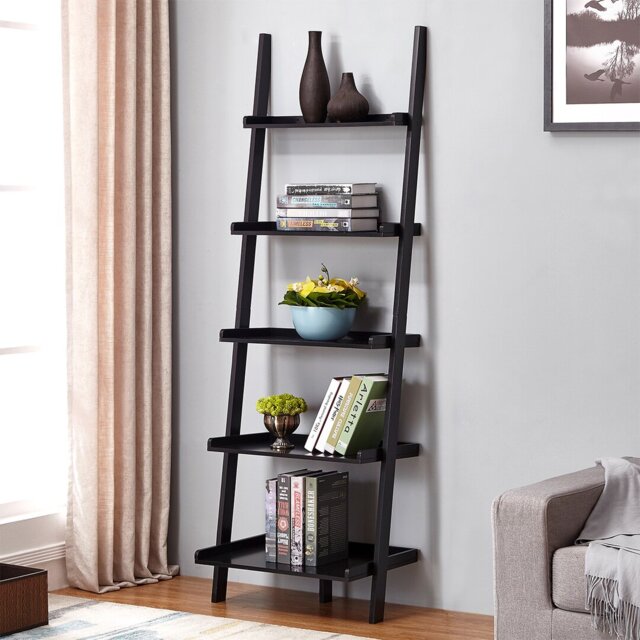 Carli Ladder Bookcase
