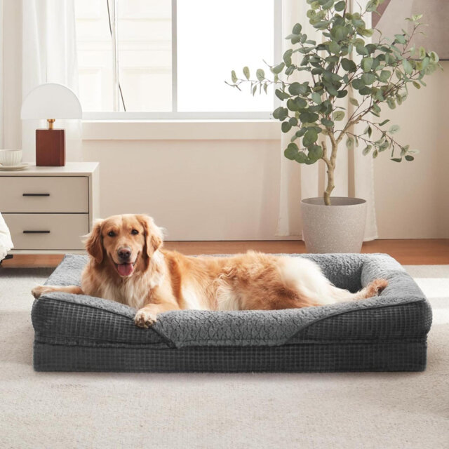 Large Dog Bed Orthopedic Memory Foam Bed(90Lbs), Dark Gray With Particle Memory Sponge High Edge, Orthopedic Dog Bed For Pain Relief & Healthy Sleep,