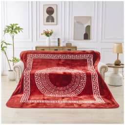 Greek Throw Blanket Warm Cosy Lightweight Decorative Premium Blanket for Sofa Couch Bed Living Room Bedroom Soft Plush All Season