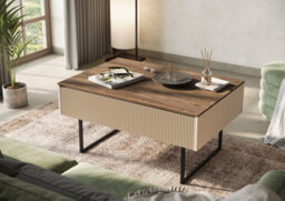 Aljo Steel Legs Coffee Table with Storage