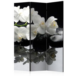 Room Divider - Spa, Stones And Orchid [Room Dividers]