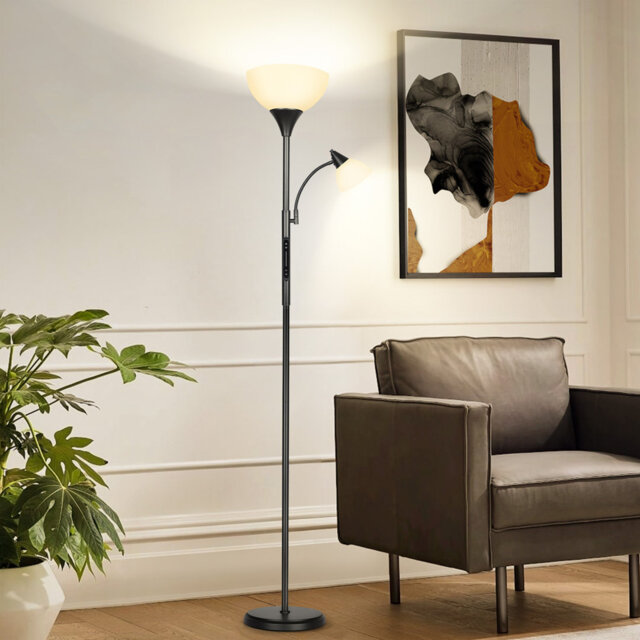 Dual-Head LED Floor Lamp with Gooseneck Reading Light, Remote and App Control, Black