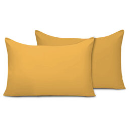 Pillow Cases 2 Pack Super Soft Brushed Microfibre Pillow Covers Breathable Hypoallergenic Non Iron Envelope Closure