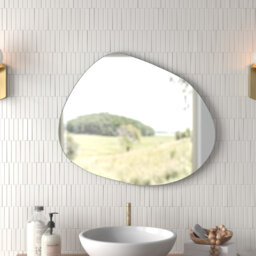 Dorothea Novelty Wood Framed Wall Mounted Accent Mirror in Black