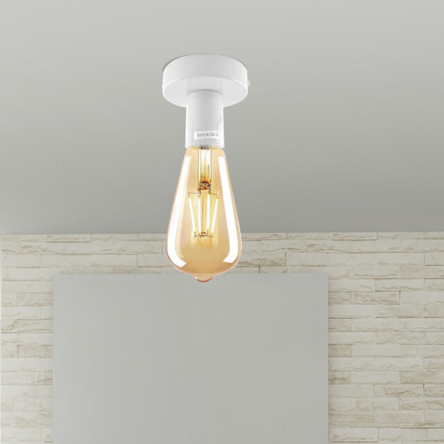 2-Pack Retro Industrial Ceiling Lights â Flush Mount, E27 Base, 60W Max, Ideal For Kitchens, Hallways, Utility Rooms & Low Ceilings
