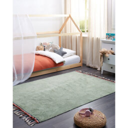 Amaryana Solid Colour Tufted Hand Tufted Green Area Rug