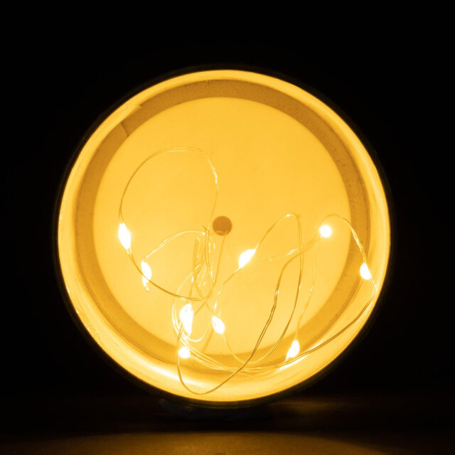 LED Indoor / Outdoor Single Christmas Light