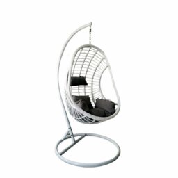 Fernville Swing Chair with Stand