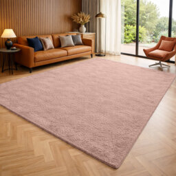 Luxury Pashmina Area Rug – Soft Traditional Living Room & Bedroom Carpet – Elegant Home Floor Rug
