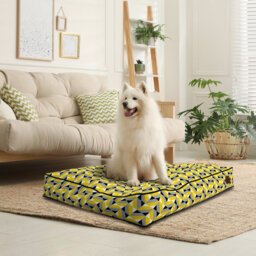 Dog Bed For Small - Medium - Large Dogs - Soft Pet Bed Mattress With Machine Washable Cover & PU Foam Pet Crate Bed - Dog Bed Mattress With Non-Slip B