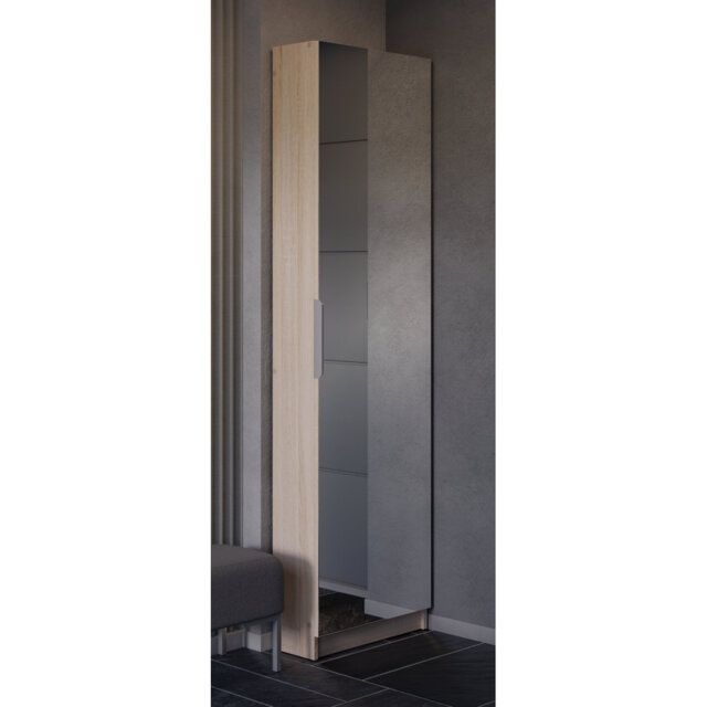 Cardale Freestanding 50cm Tall Mirrored Shoe Cabinet