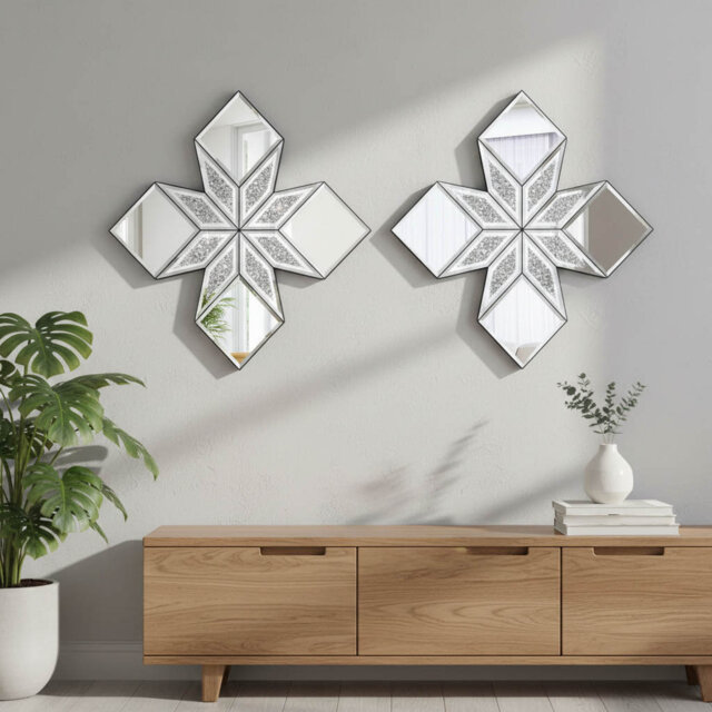 Novelty Mirror
