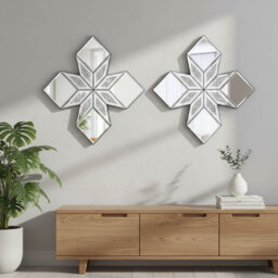 Novelty Mirror