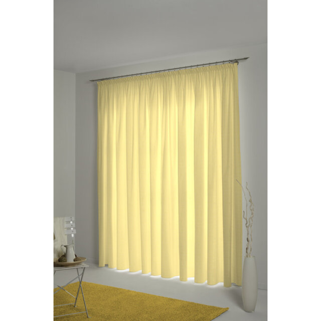 Salguero Pencil Pleat Opaque Curtain