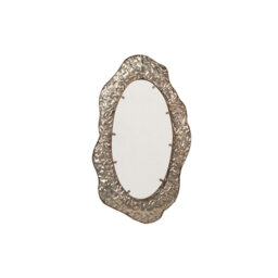 Novelty Mirror