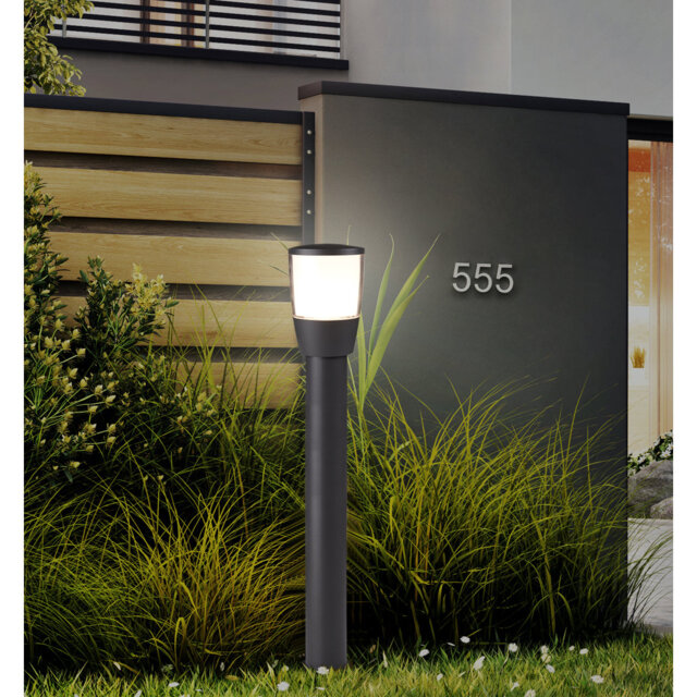 Aniyah Transparent Lamp Post (Full)