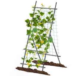 190cm H x 80cm W Metal Arched Trellis