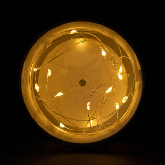 LED Indoor / Outdoor Single Christmas Light