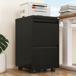 2 Drawer Filing Cabinet