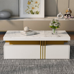Coffee Table with Storage