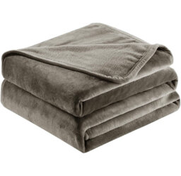 Abiram Plain Weave / Muslin Throw Blanket