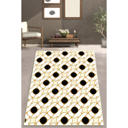 Ankeny Linea Dorada Shaggy Black/White/Gold Rug