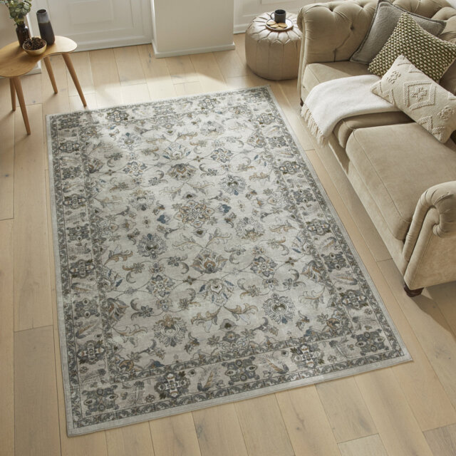 Traditional Grey Washable/Stain Guarded Area Rug