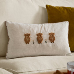 Asraa Rectangular Throw Cushion