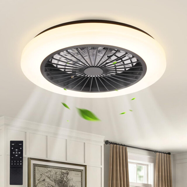 Quiet Ceiling Fan with Light - LED Ceiling Light Fan with Remote Control 40W Dimmable Ceiling Lamp 6-Speed ??Timer Modern Living Room Lamp with Fan fo