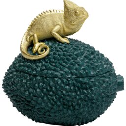 Deco Box Chameleon 20