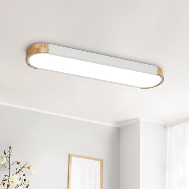 Erby 1-Light 95 cm Minimalist Modern Dimmable LED Flush Mount Rectangle Long Oval Ceiling Light