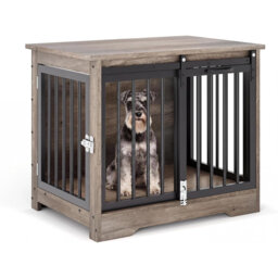 Dog House