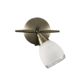 Aileny Wall Spotlight