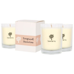 Nicola Spring 160g Tropical Sunrise Soy Wax Candles - Pack of 3 Jars
