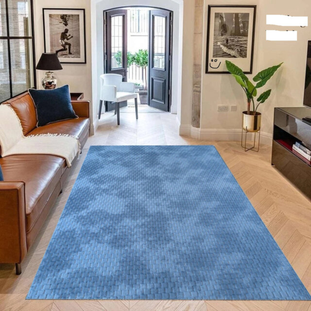 Modern Non Slip Rugs Living Room Bedroom Door Mat Hallway Runner Rug Kitchen Mat Carpet