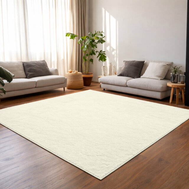 Soft & Fluffy Indoor Living Room Large Area Rug