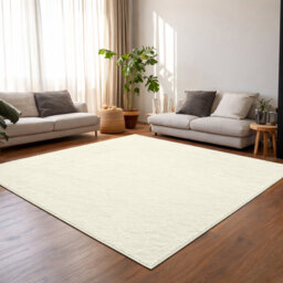 Soft & Fluffy Indoor Living Room Large Area Rug