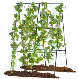 126cm W Metal Arched Trellis