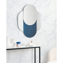 Delenna Novelty Mirror