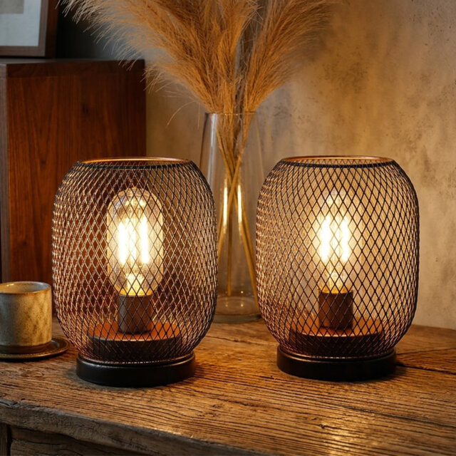 Kaye Novelty Battery Operated Table Lamp Warm LED Decorative Light for Bedroom, Patio & Wedding Table Decor