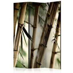 Gillianna 135cm W x 172cm H 3 - Panel Solid Wood Folding Room Divider