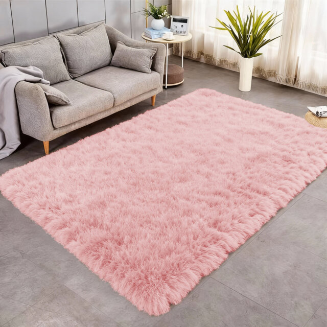 Indoor / Outdoor Living Room Area Rug