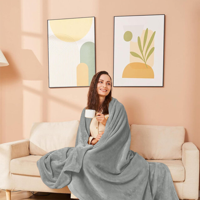 Adamczyk Soft Touch Mink Faux Fur Plush Sofa Throw/Blanket