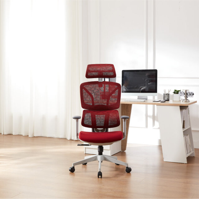 Demani Office Chair with Headrest