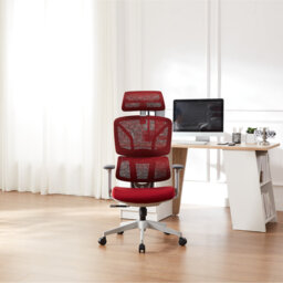 Demani Office Chair with Headrest