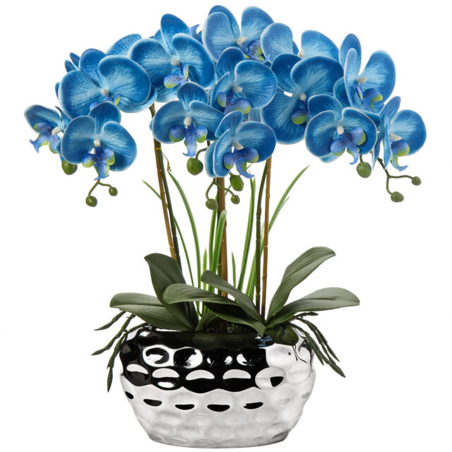Rowney Arrangement